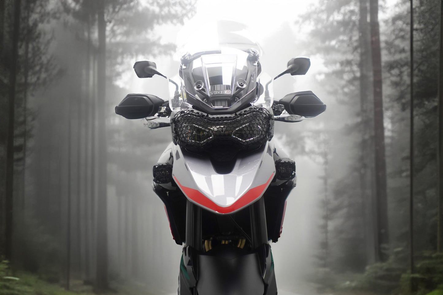 Evotech Headlight Guard - Triumph Tiger 900 Alpine Edition (2026+)