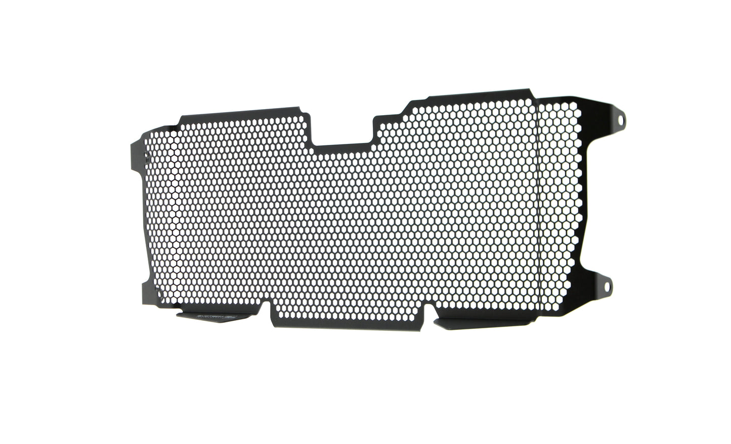EP BMW R 1250 R Sport Radiator Guard (2019+)