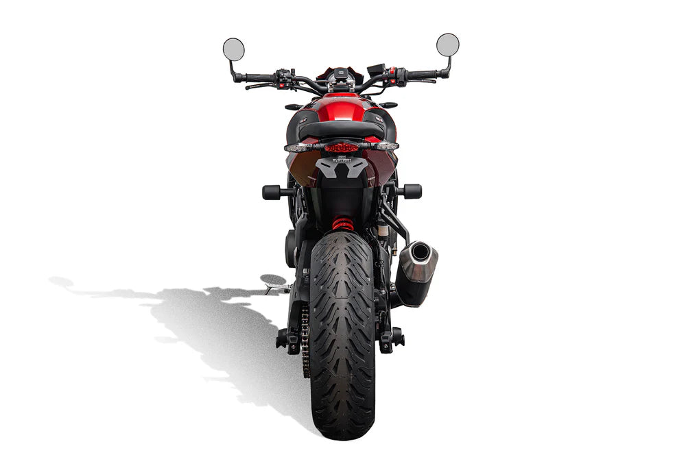 Triumph Trident 660 (2026 - On) Tail Tidy (Red Rear Light) - Evotech Performance