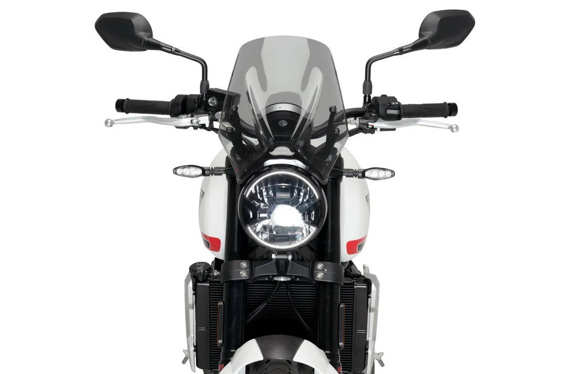 Triumph Trident 660 (2022+) Puig Screen options